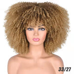 Female Hair African Small Curly Hair Explosion Head Black Chemical Fiber Wig Full Head Set